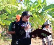 4714487179993247355654829180503391703430651n